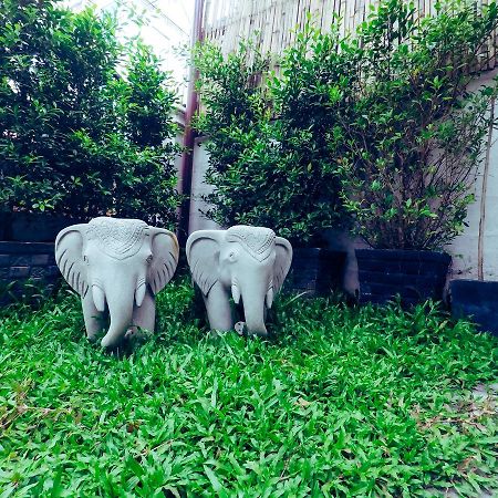 Adventure Siem Reap Lodge Zewnętrze zdjęcie